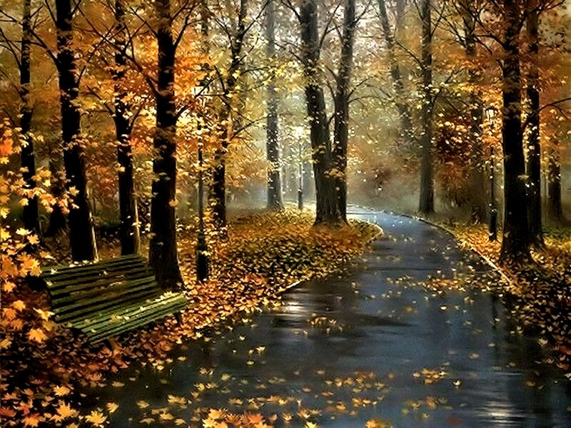 Park Bench in Autumn — Yellow