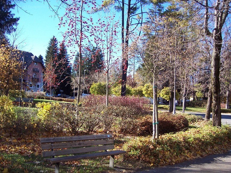 Park bench in autumn