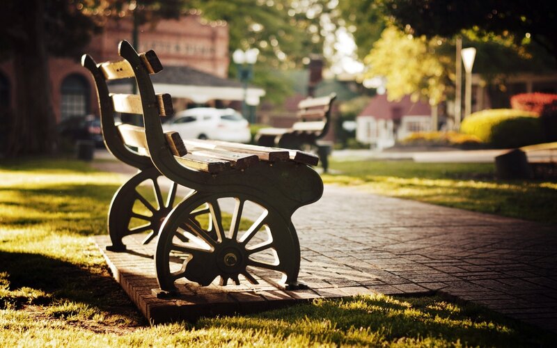 Park bench in golden light