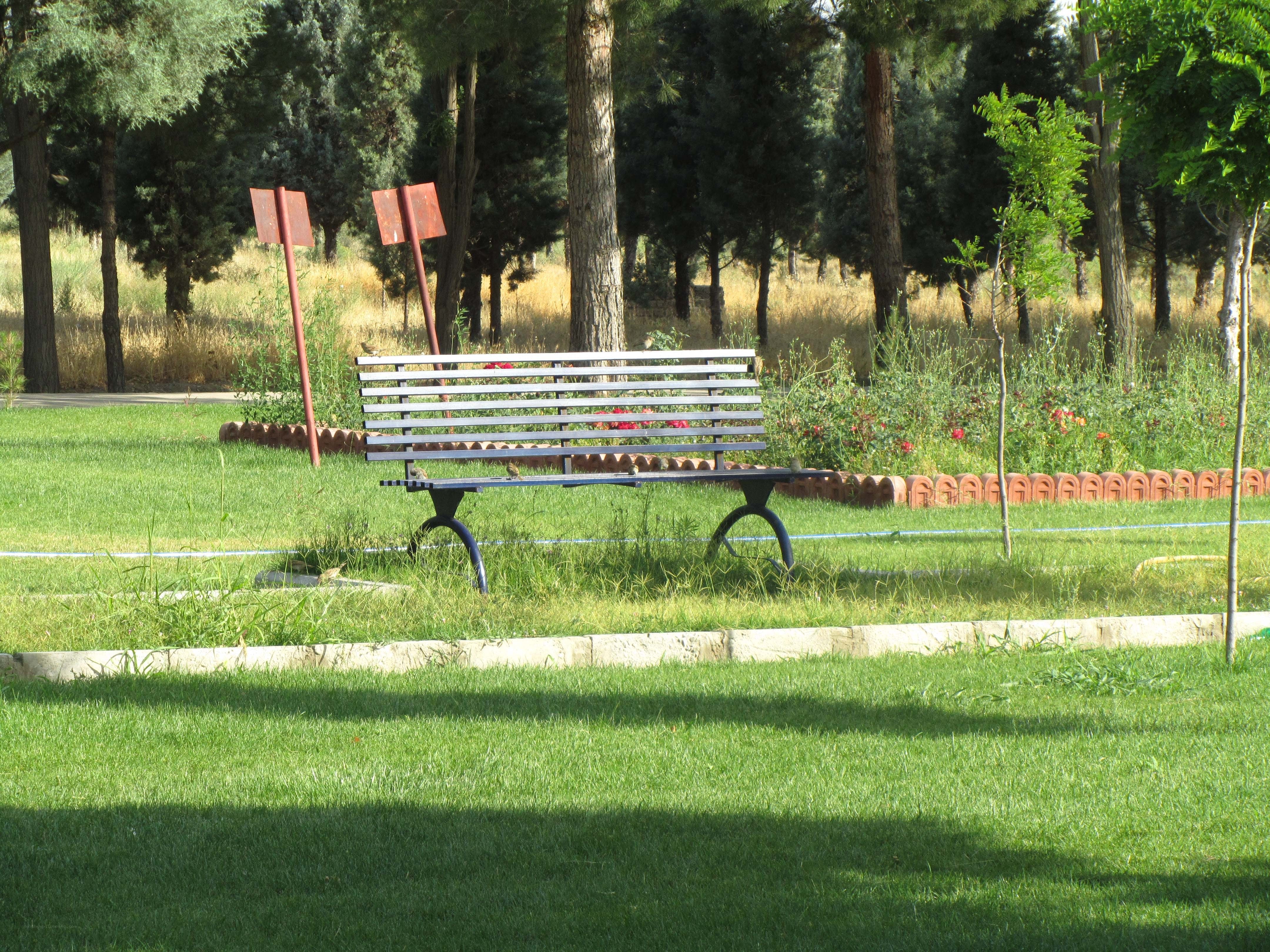 Park bench in green garden