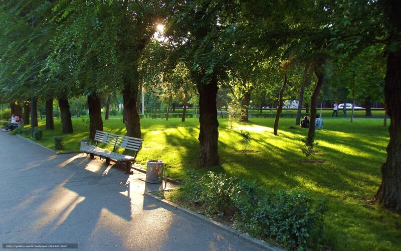 Park bench in sunlight