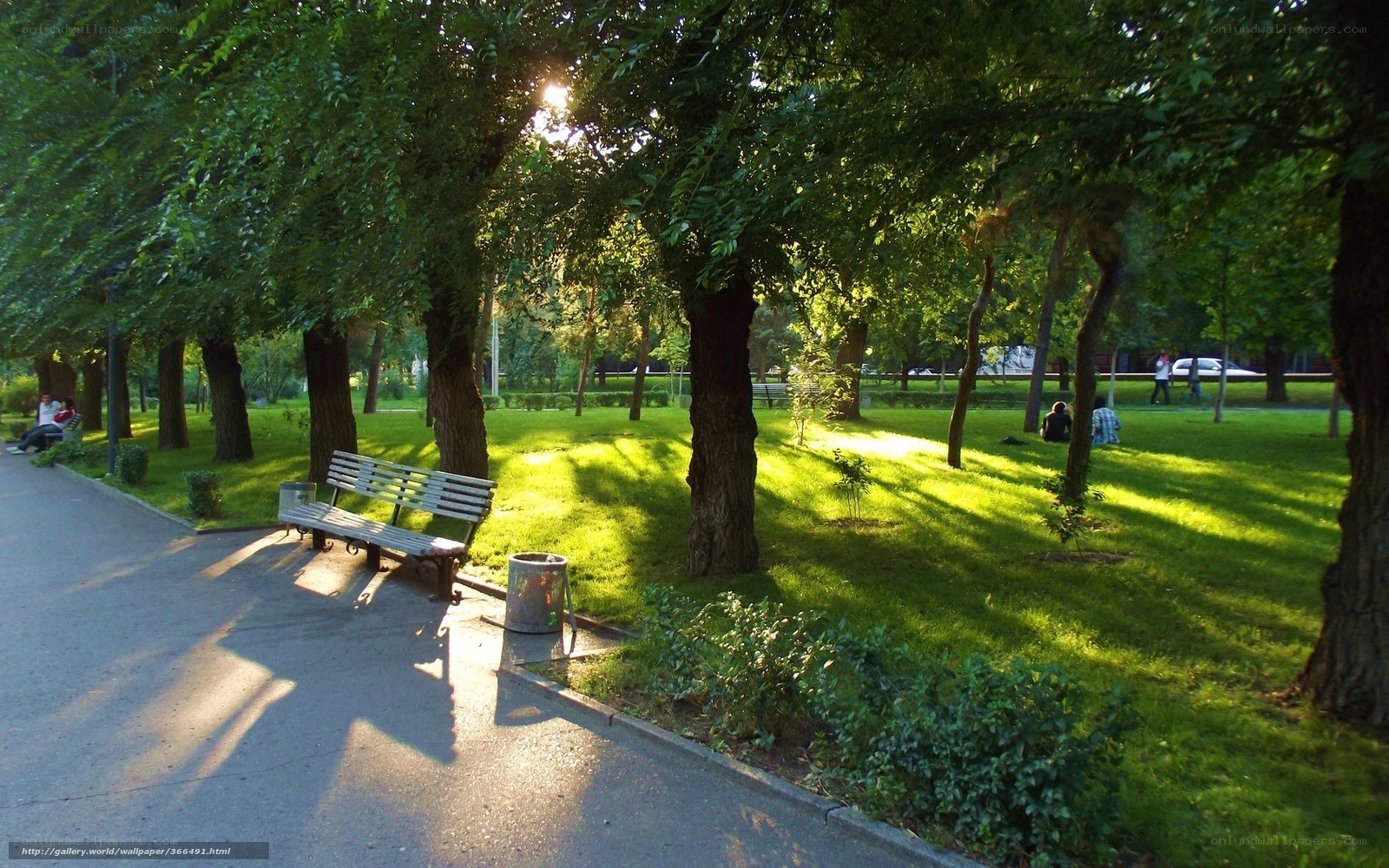Park bench in sunlight