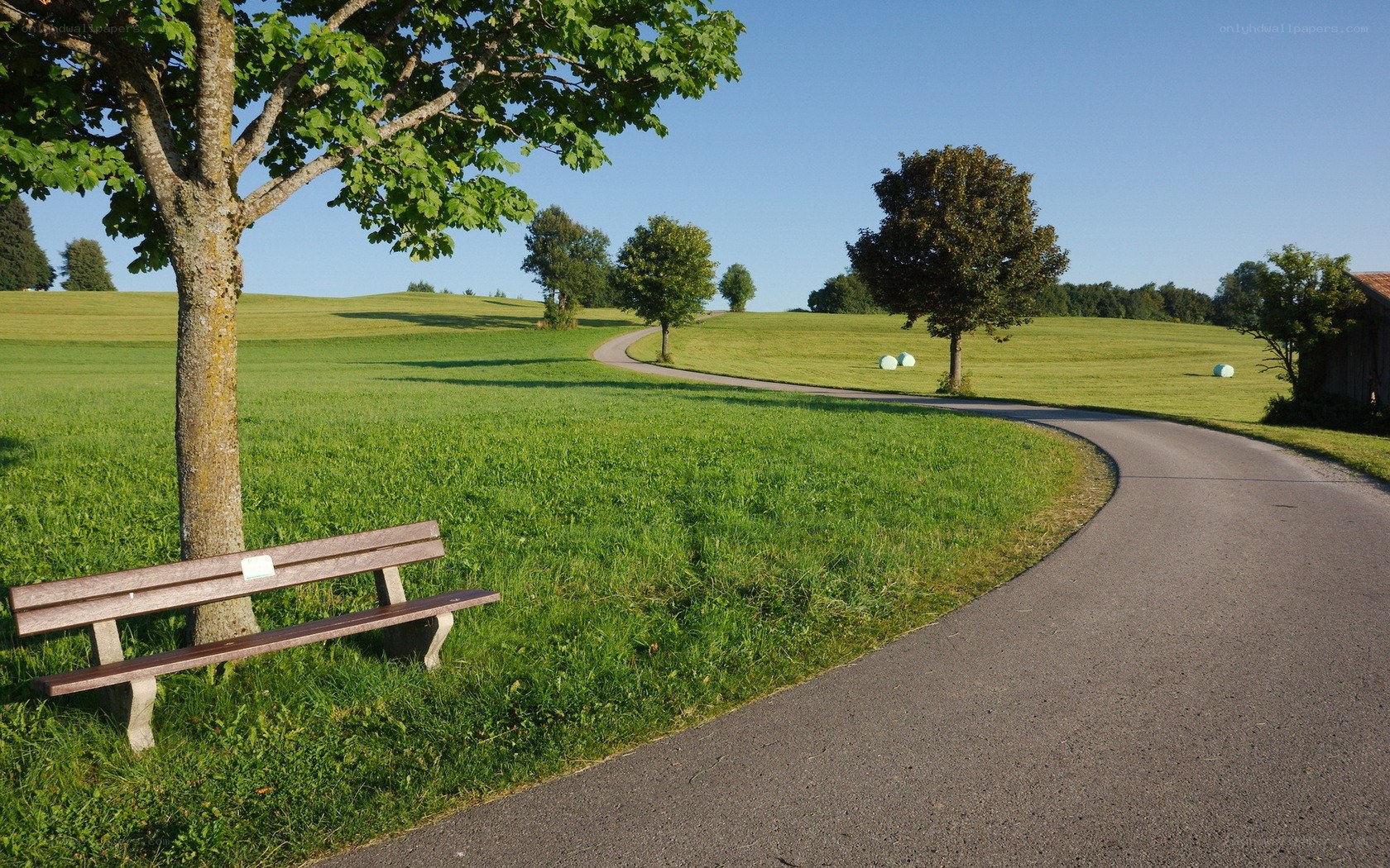 Park bench on a sunny day