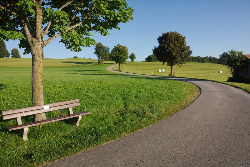Park bench on a sunny day