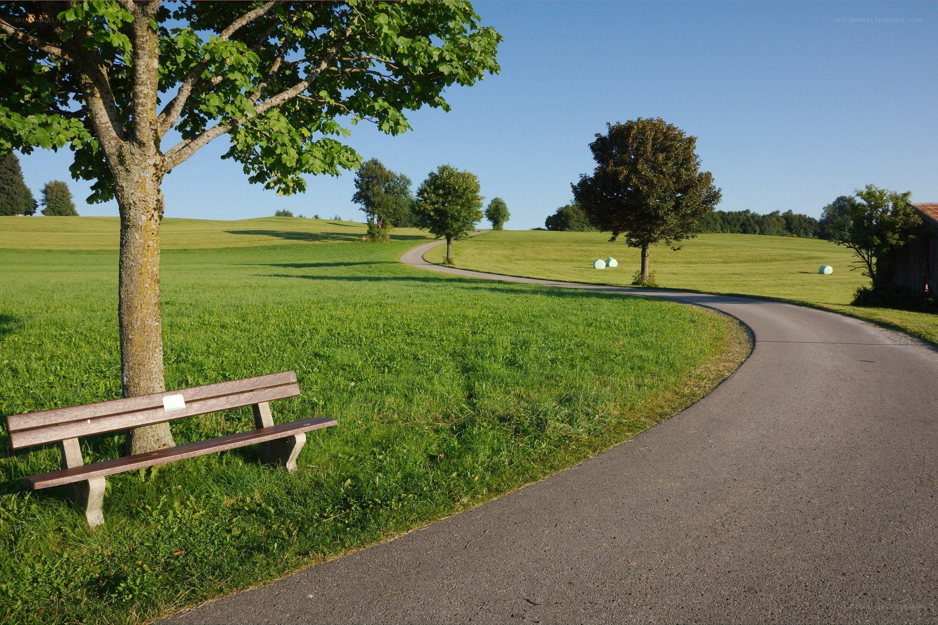 Park bench on a sunny day