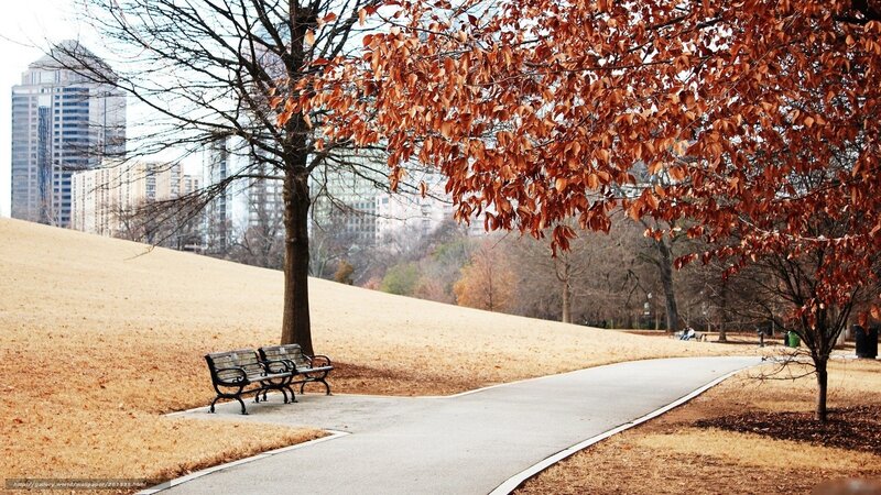 Park Bench on Path — Brown