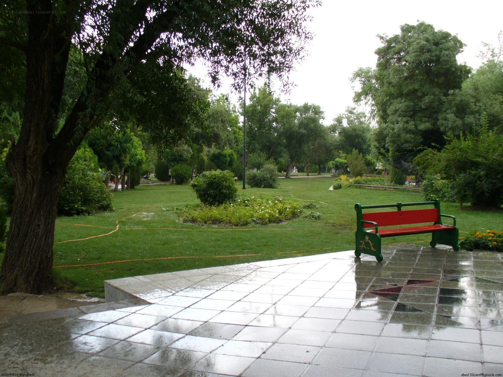 Park bench on wet pavement