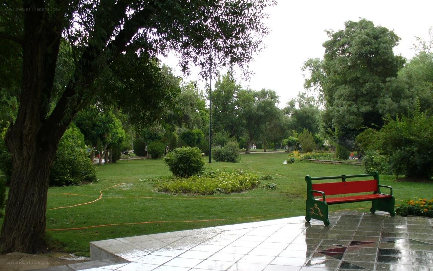 Park bench on wet pavement