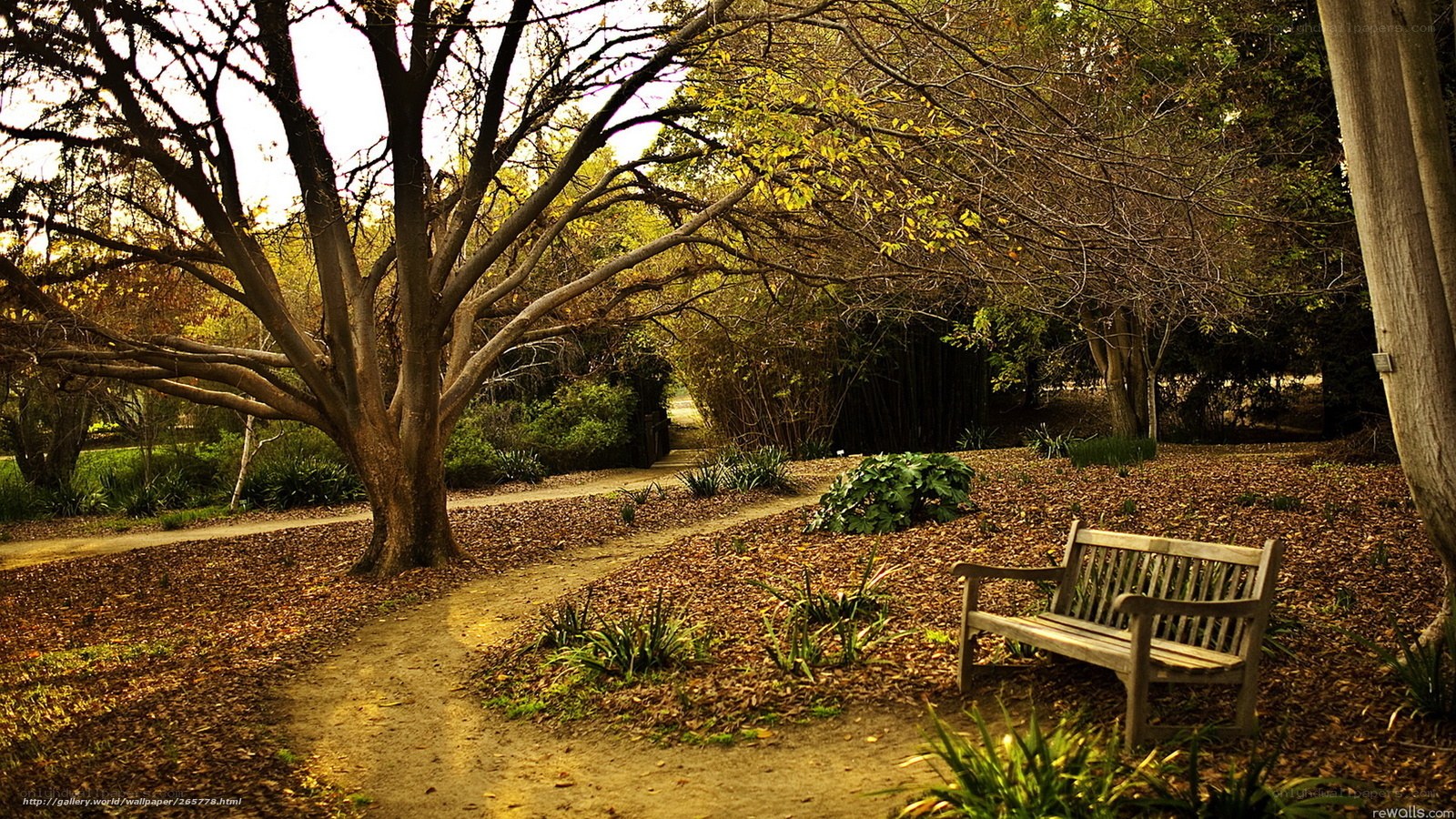 Park bench under autumn trees