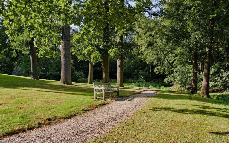 Park bench under trees