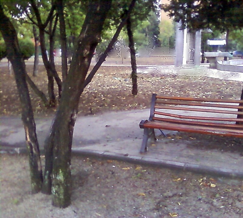 Park bench under trees