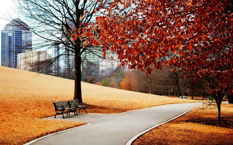 Park Bench under Trees — Orange