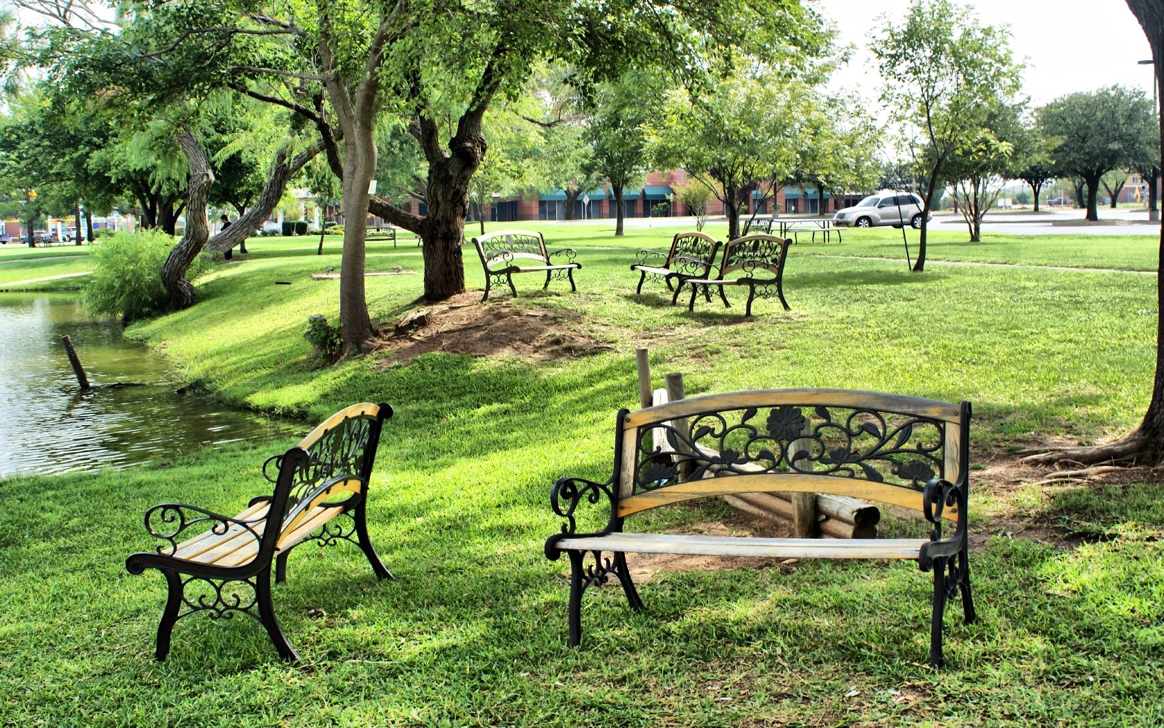 Park benches by a pond