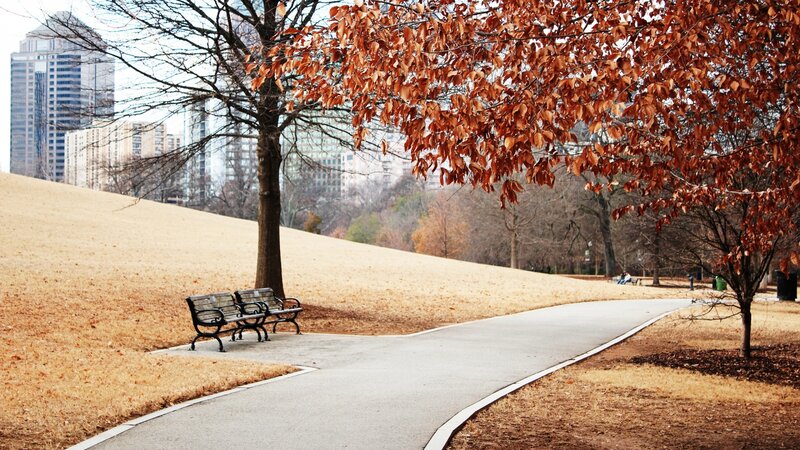 Park Benches on Path