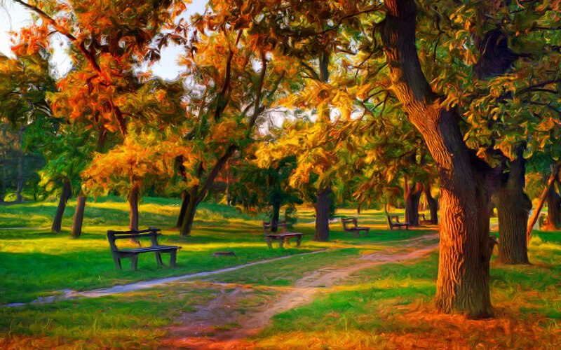 Park Benches under Trees — Green, Serene