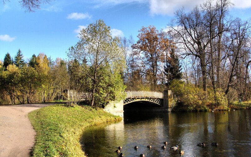 Park bridge over a river