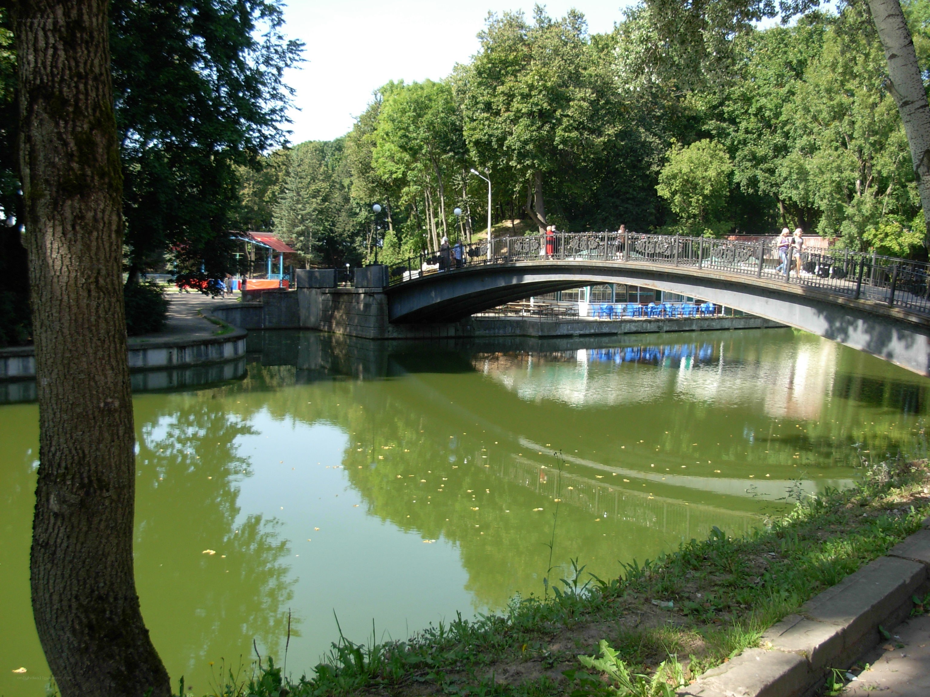 Park bridge over green water