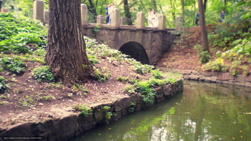 Park bridge over stream