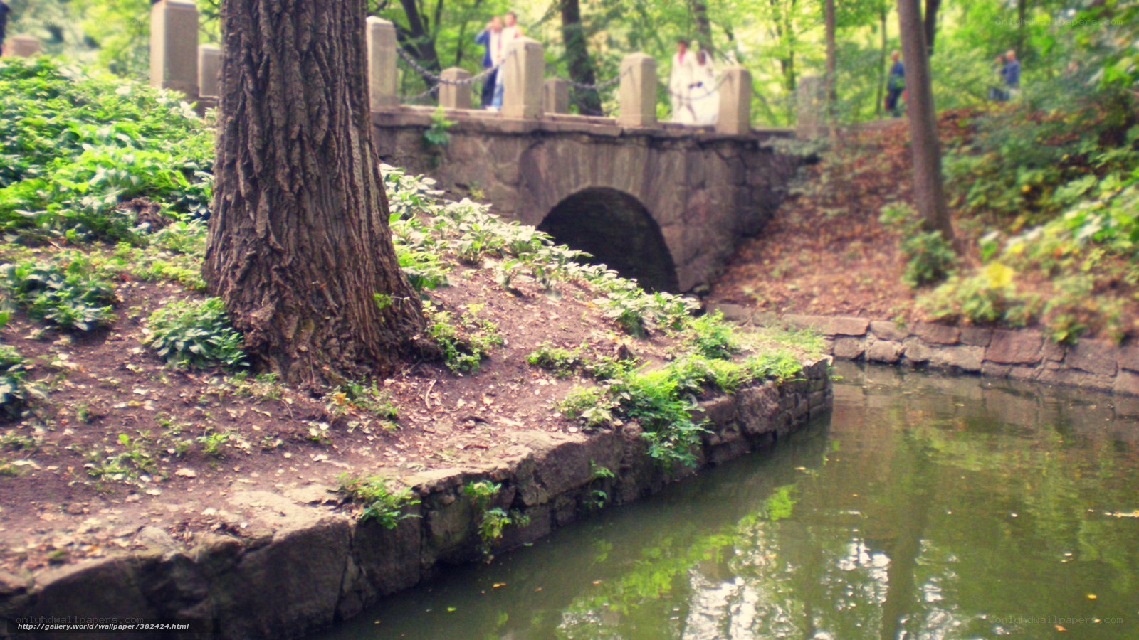 Park bridge over stream