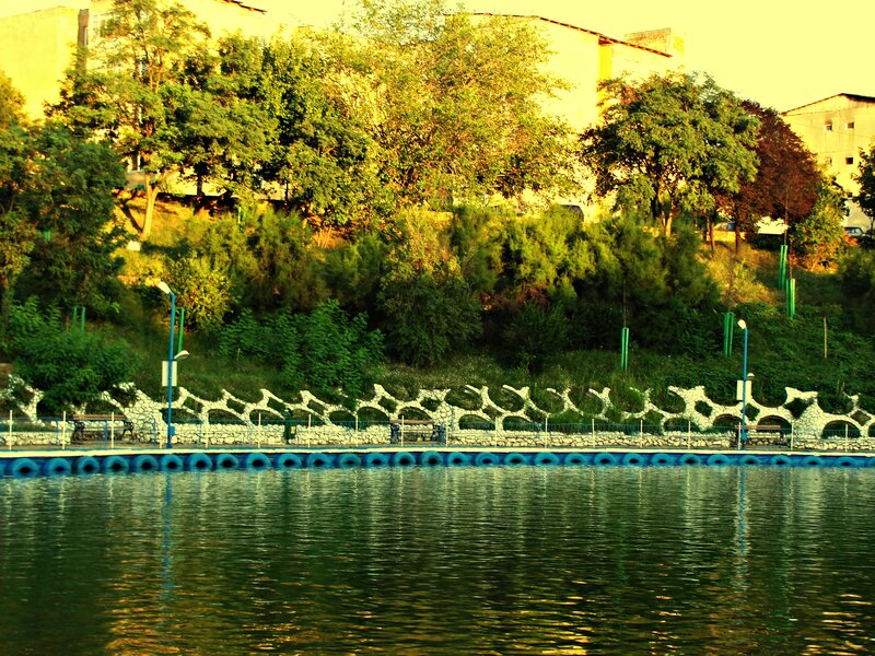 Park by the water at sunset