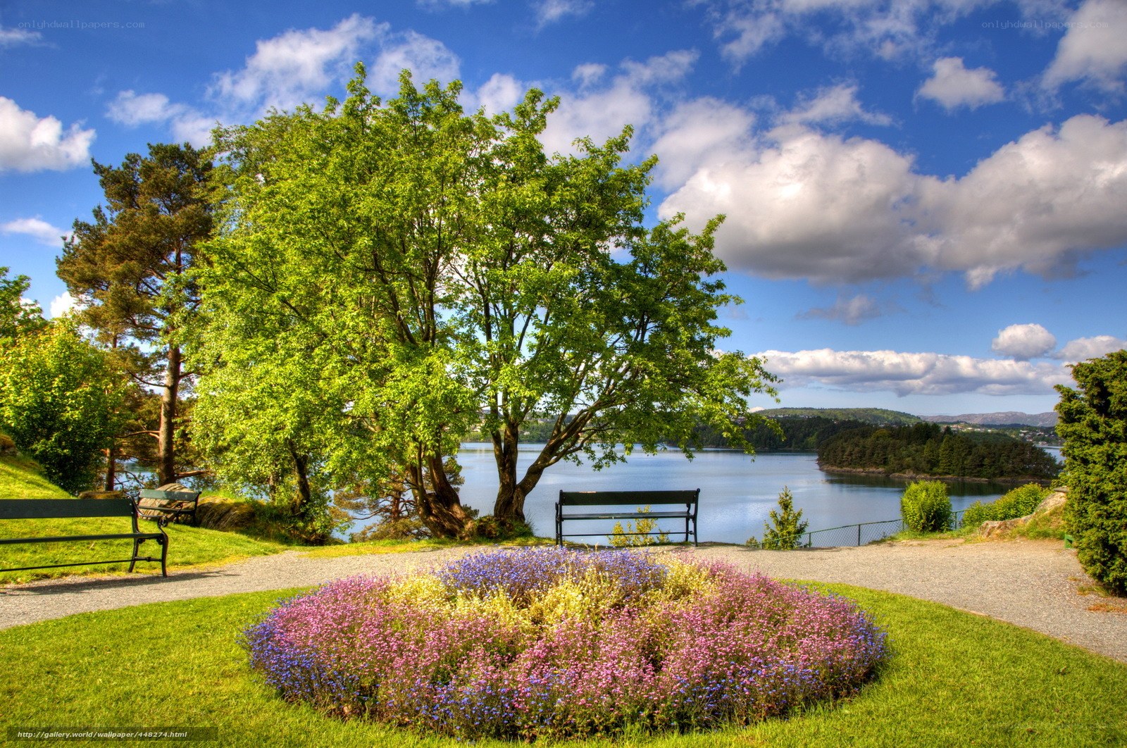 Park by the water with flowers