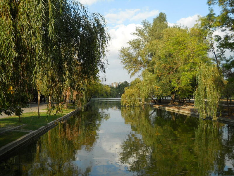 Park canal with willow trees