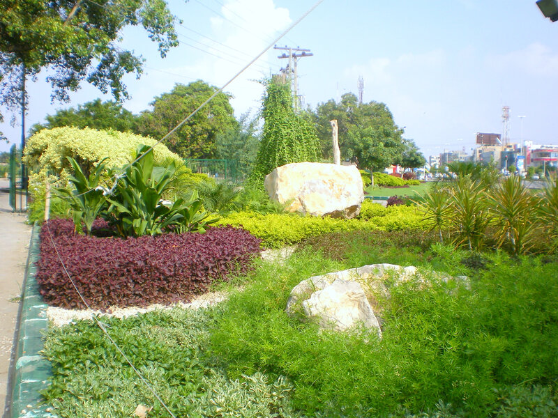 park garden with rocks and plants