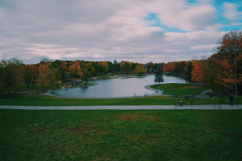 Park Lake with Autumn Trees