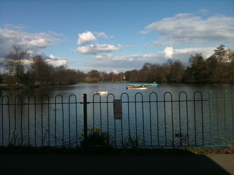 Park lake with boats and ducks