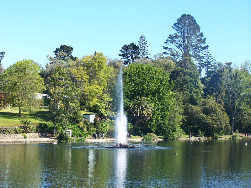 Park lake with fountain and trees