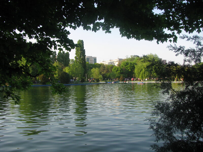 Park lake with paddle boats