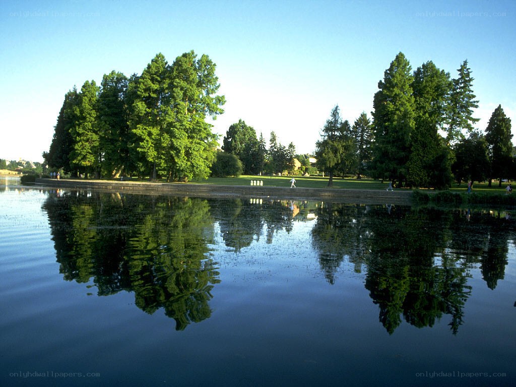 Park lake with tree reflections