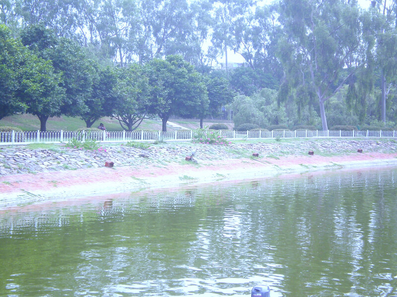 Park lake with trees and fence