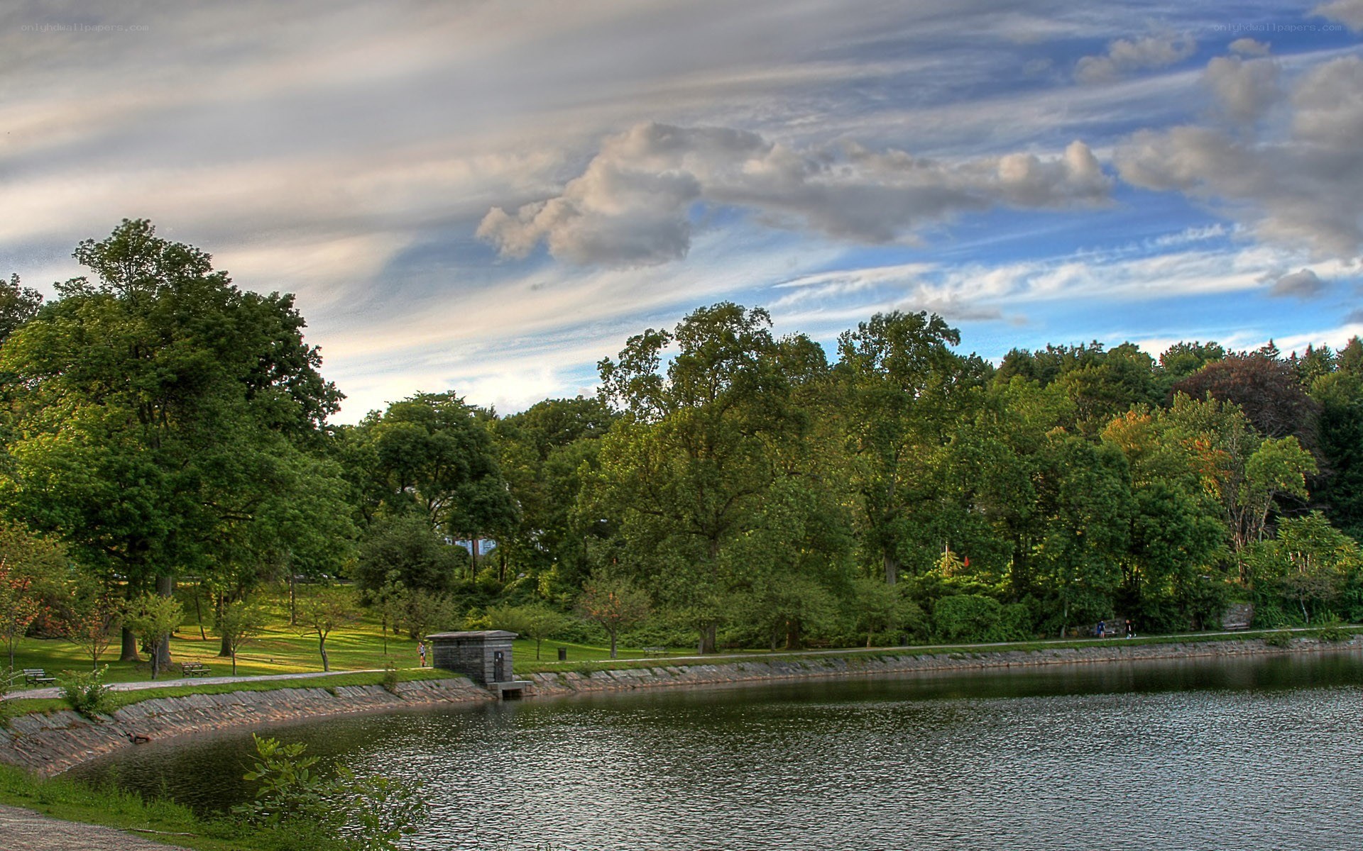 Park lake with trees and sky