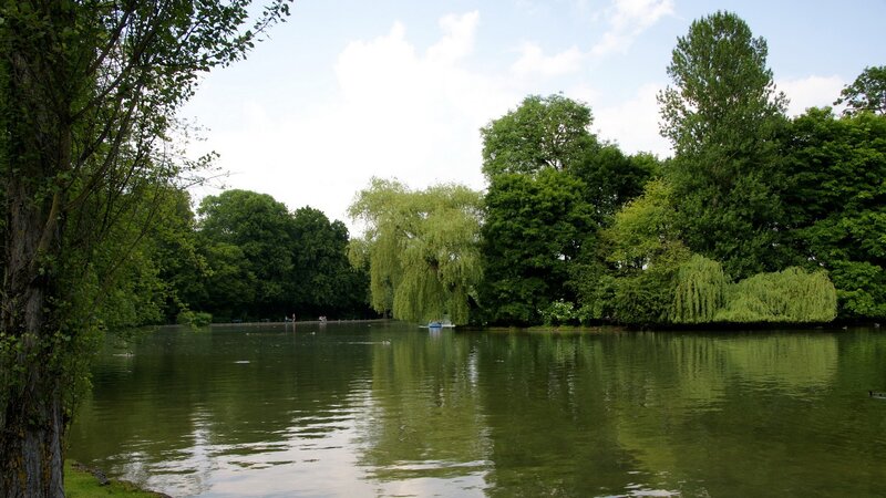 park lake with weeping willows