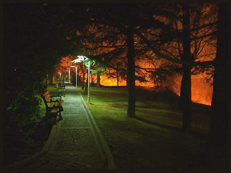 Park Path at Night — Black, Serene