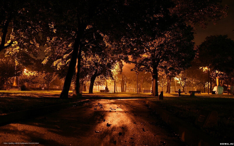Park Path at Night — Black