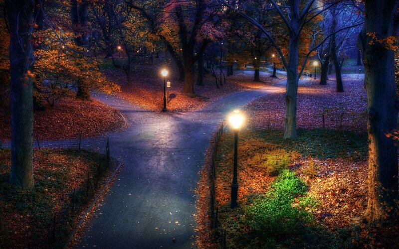 Park Path at Night — Blue, Serene