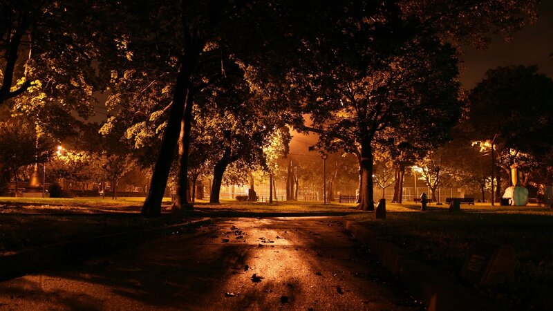 Park Path at Night — Orange, Dark, Photograph, Trees, Streetlights, Fire Hydrant