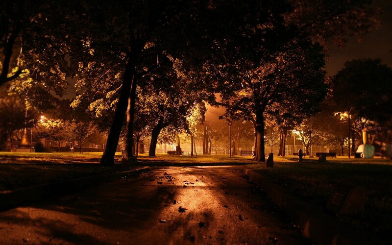 Park Path at Night — Orange, Dark