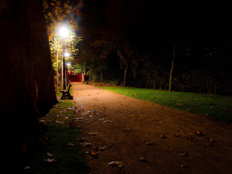 Park path at night