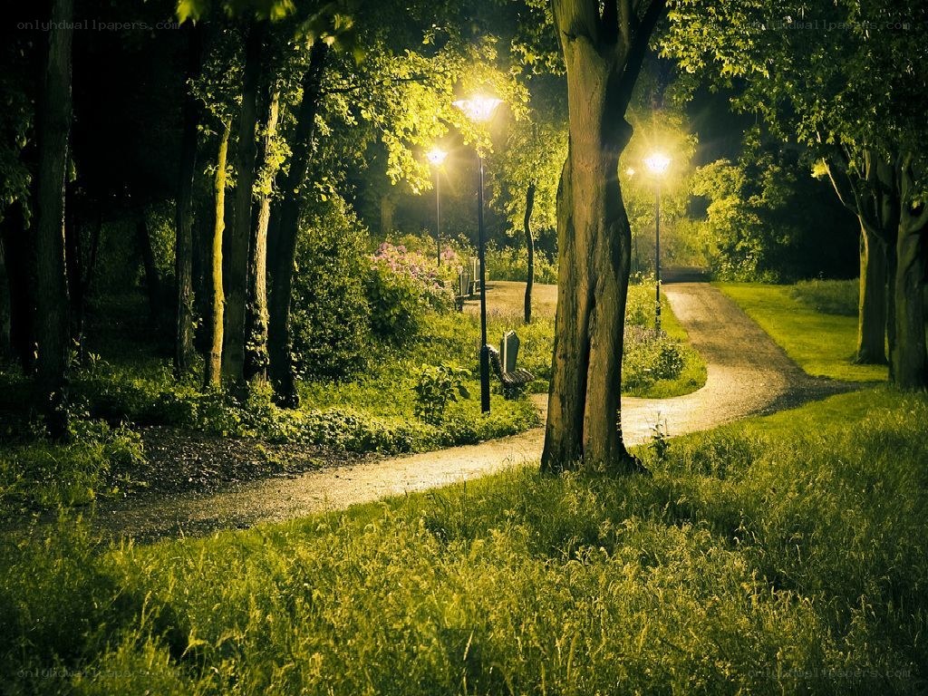 Park path at night with streetlights