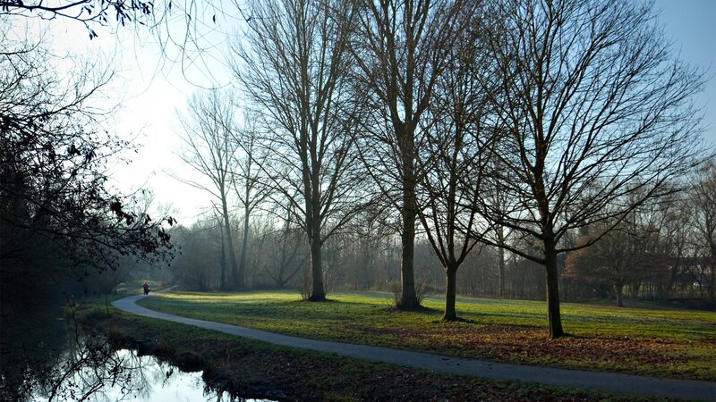 Park path at sunrise