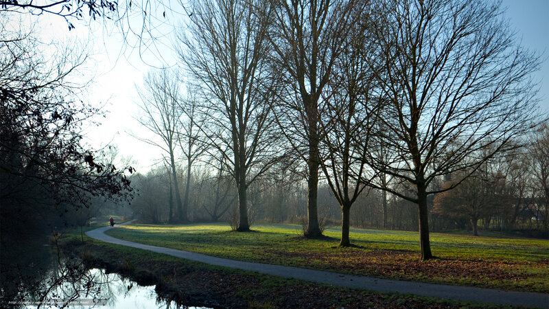 Park path at sunrise