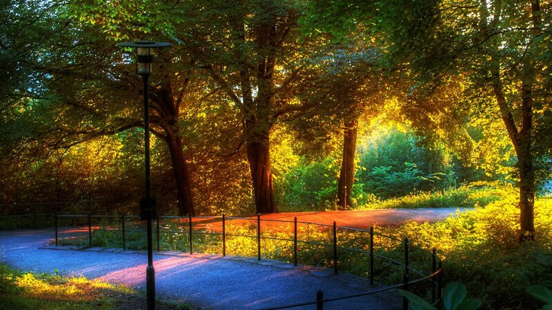Park Path at Sunset — Green, Serene