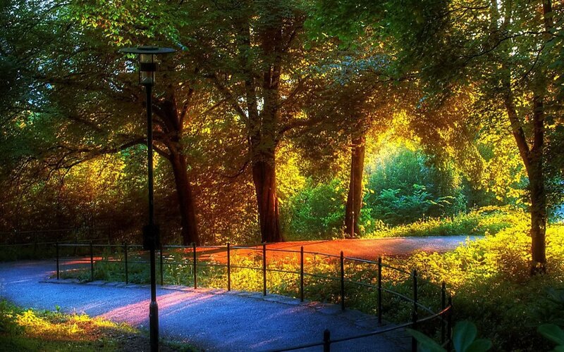 Park Path at Sunset