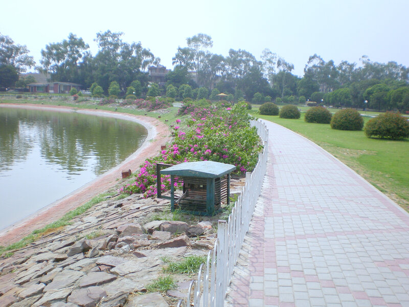 Park path by a lake