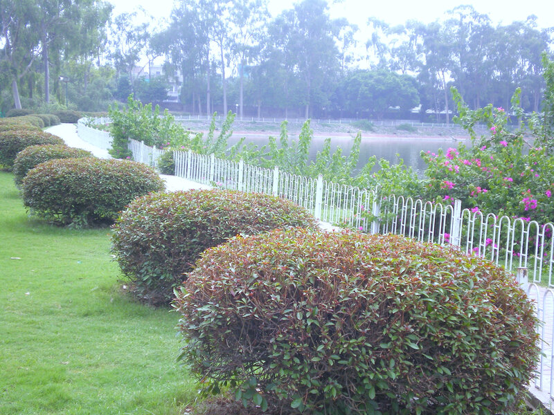Park path by the lake