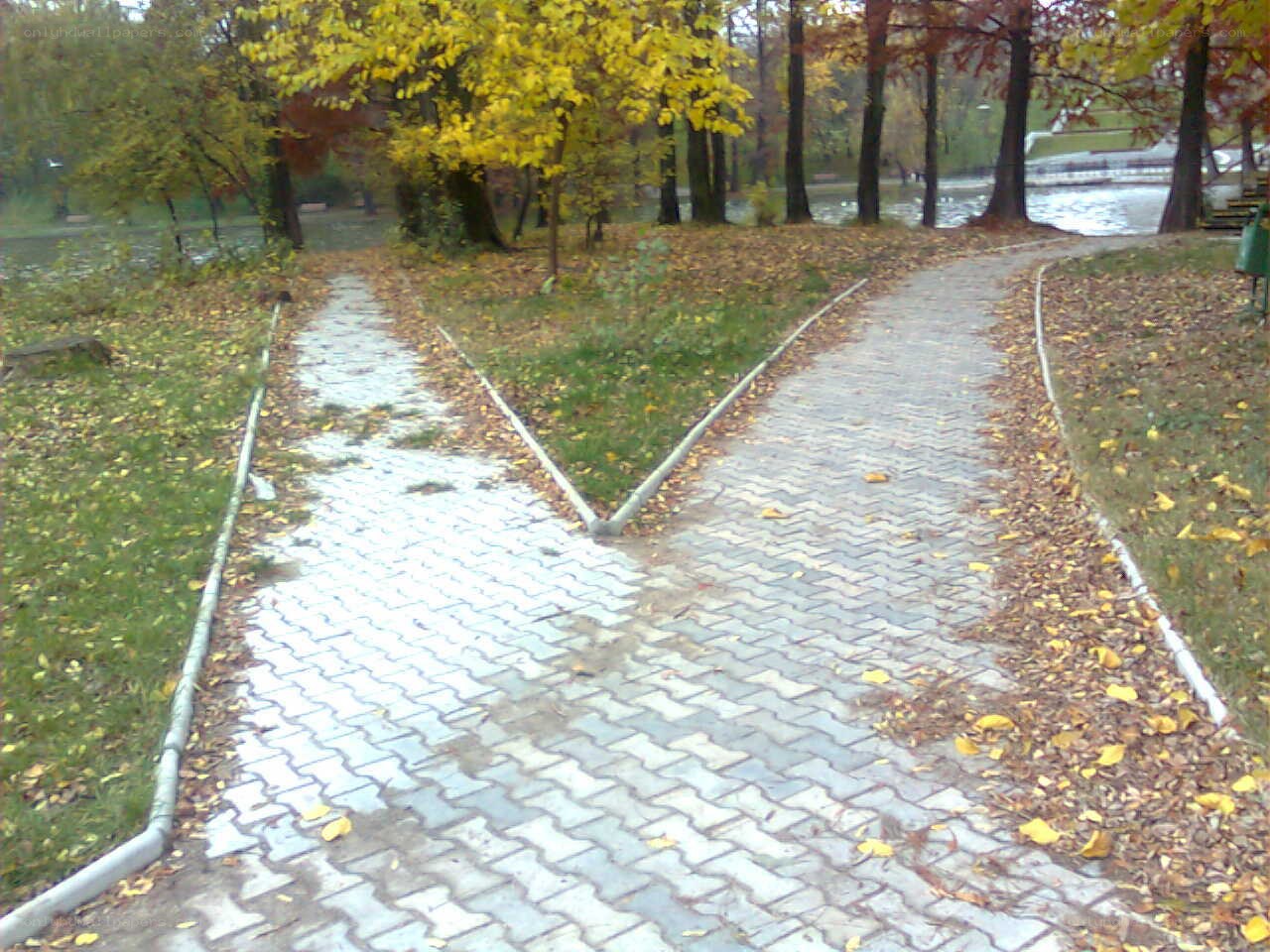 Park path in autumn