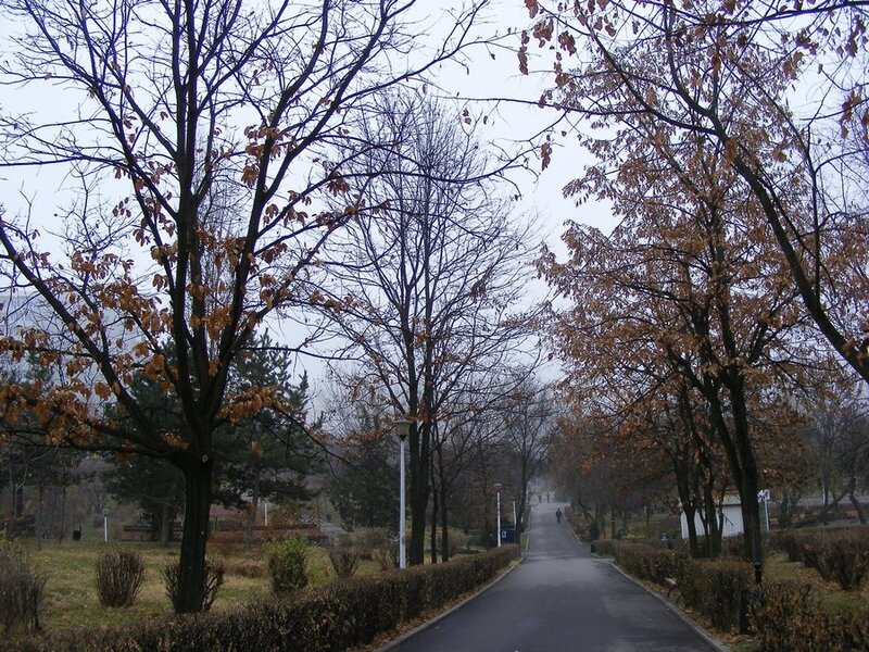 Park path in autumn